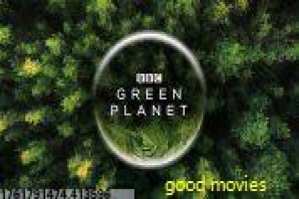 琅琊榜剧情介绍-琅琊榜剧情介绍梅长苏,剧