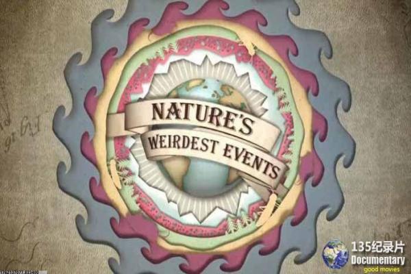 《蓝调女王》蓝调女王蓝调音乐女王的感人故