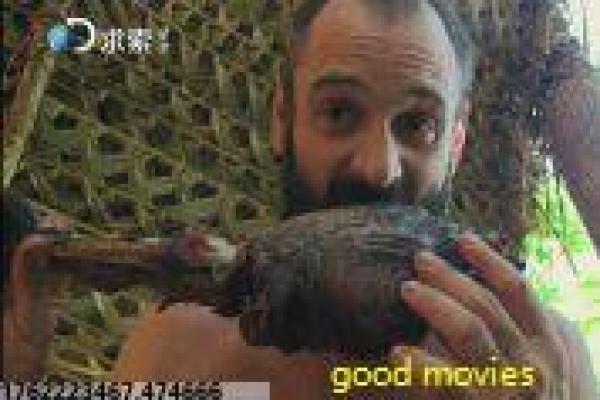 《光之美少女美味派对》故事情节深度还原,