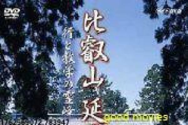 《结婚那件事》影视解析详解,结婚那事的婚