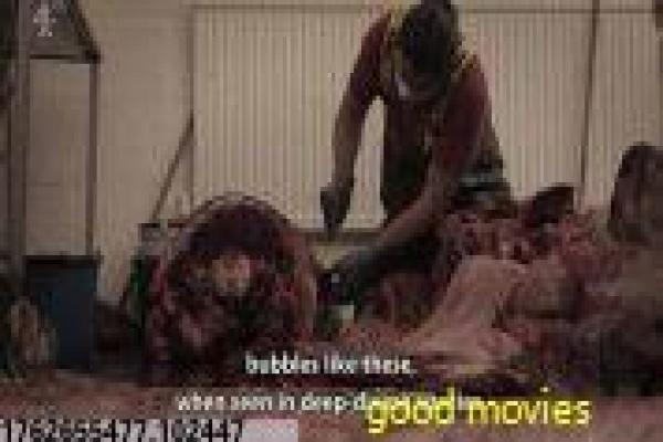 金陵十三钗-金陵十三钗的战时悲剧,剖析张